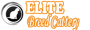 logo_ebc