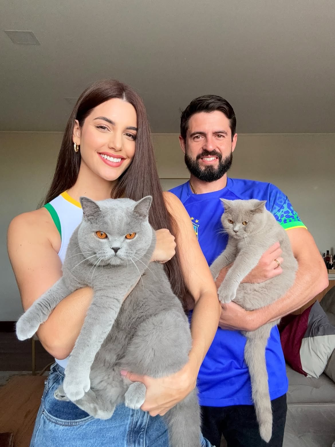 British Shorthair Cats for Sale – Healthy, Adorable Kittens Ready for Loving Homes British Shorthair cats for sale – adorable blue British Shorthair kitten with plush fur